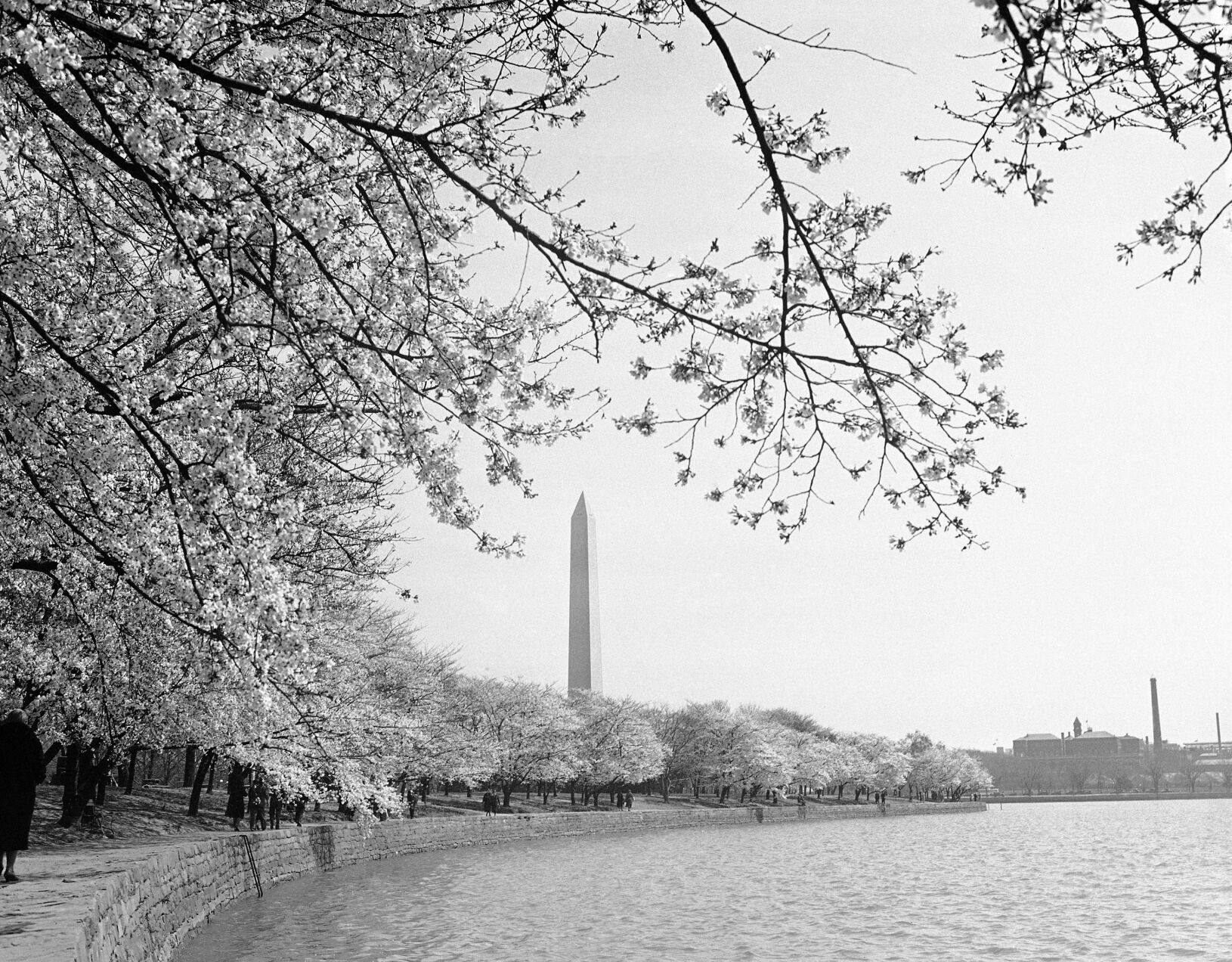1885: The Washington Monument